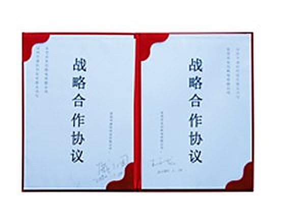 Strategic partnership